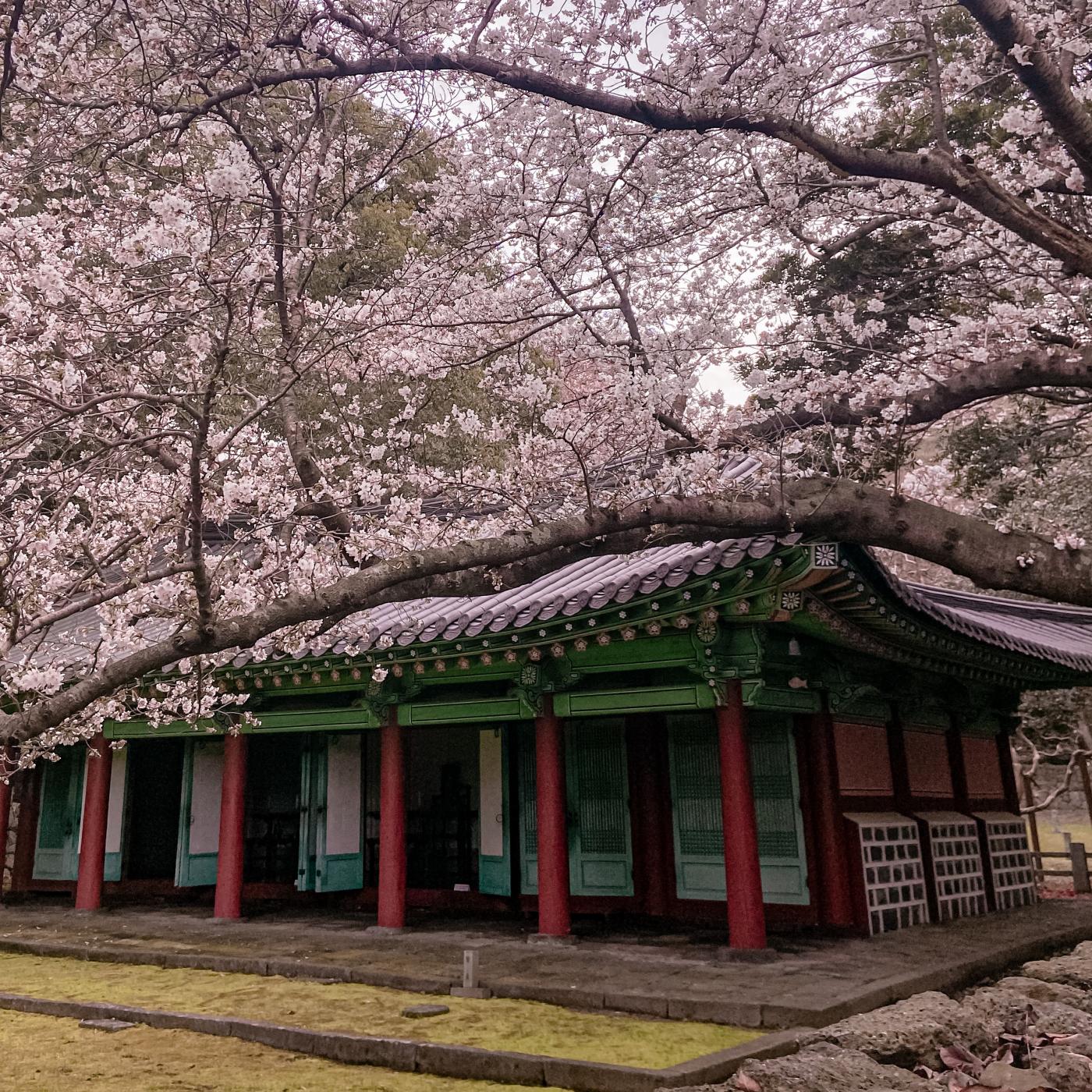 Что взять с собой